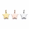 304 Stainless Steel Charms STAS-T059-27-2