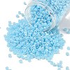 TOHO 6/0 Round Beads SEED-TR06-0143-1