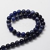 Natural Sodalite Round Beads Strands X-G-E329-6mm-39-2