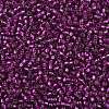 TOHO 8/0 Round Beads SEED-TR08-2223-2
