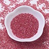 MIYUKI Delica Beads SEED-MY11-DB0172-2