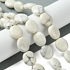 Natural Howlite Beads Strands G-K365-B14-02-2