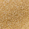 MIYUKI Delica Beads SEED-MY11-DB0100-3