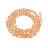 Transparent Glass Beads Strands EGLA-A044-T1mm-MB23-3