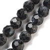 Natural Larvikite Beads Strands G-C150-B06-02-2