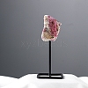 Natural Tourmaline Irregularity with Metal Home Decoration Ornament PW-WG598C7-11-1