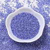 MIYUKI Delica Beads SEED-X0054-DB0243-2