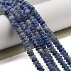 Natural Blue Spot Jasper Beads Strands G-K343-C18-01-2