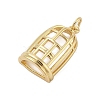 Hollow Cage Rack Plating Brass Pendants KK-Z074-28G-2