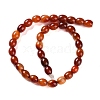 Natural Red Agate Beads Strands G-NH0019-C02-01-2