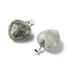 Natural Labradorite Pendants G-F820-10A-06-2