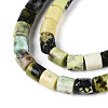 Natural Serpentine Beads Strands G-T141-90A-3