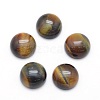 Natural Tiger Eye Cabochons X-G-P393-R12-10mm-1