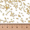 TOHO Round Seed Beads SEED-JPTR11-0948-4