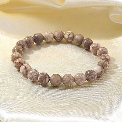 Natural Maifanite/Maifan Stone Bead Stretch Bracelets X-BJEW-K212-B-044-1