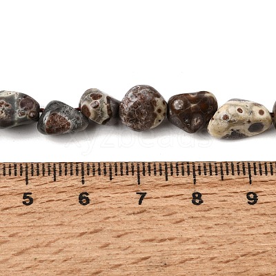 Natural Leopard Skin Jasper Beads Strands GG-CBAC13F-A01-01-1