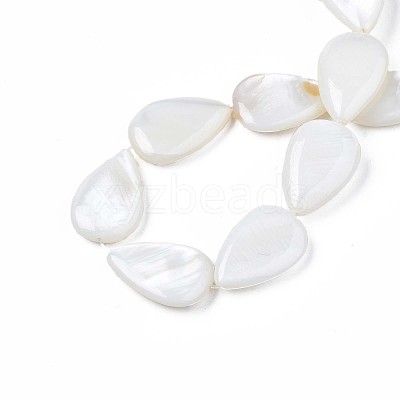 Natural Sea Shell Beads Strands SSHEL-Q296-43-1