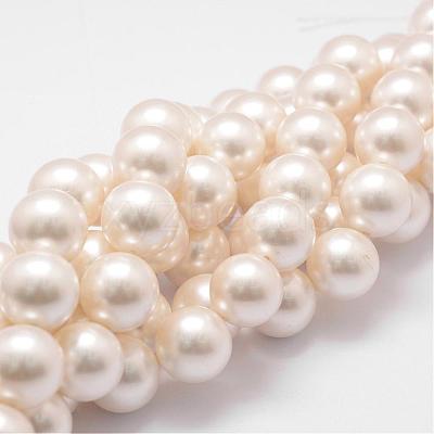 Shell Pearl Bead Strands BSHE-L026-03-16mm-1