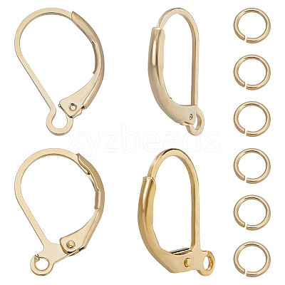 40Pcs 2 Styles Brass Leverback Earring Findings DIY-CN0002-85G-1
