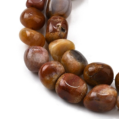 Natural Petrified Wood Beads Strands G-L621-C11-01-1