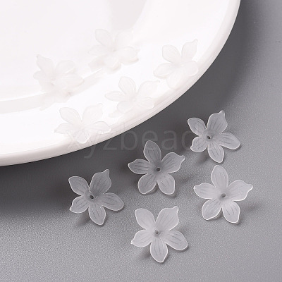 Frosted Acrylic Bead Caps LS-X-MACR-S371-05A-701-1