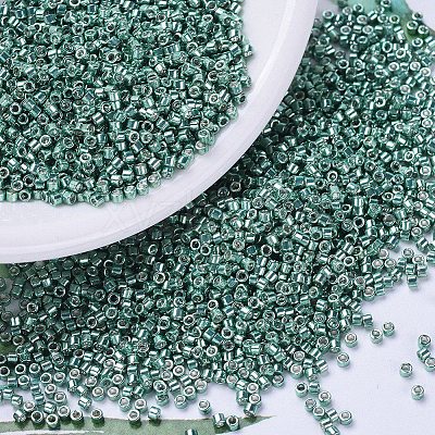 MIYUKI Delica Beads X-SEED-J020-DB0432-1