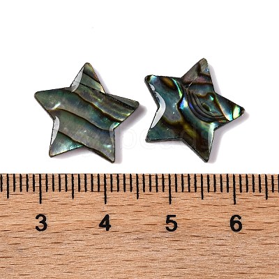 Natural Paua Shell Epoxy Resin Cabochons SSHEL-S279-01F-1