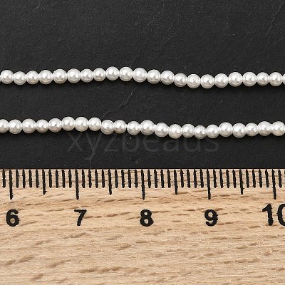 Electroplated Shell Pearl Beads Strands X-BSHE-K017-2mm-1