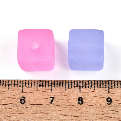 Frosted Transparent Acrylic Beads FACR-N006-03-1