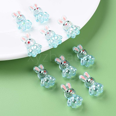 Transparent Acrylic Beads LS-MACR-S373-81-Q03-1