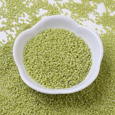 MIYUKI Delica Beads SEED-X0054-DB0262-1