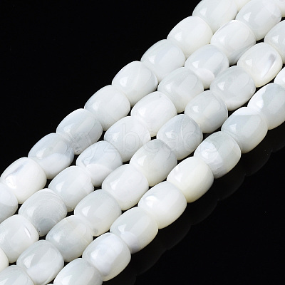 Natural Trochid Shell/Trochus Shell Beads Strands SSHEL-N034-121-B01-1