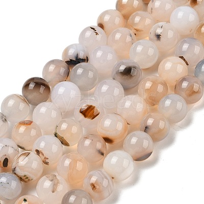 Natural Dendritic Agate Beads Strands G-A248-A07-05-1