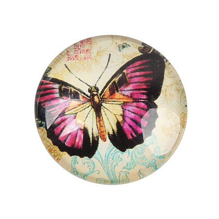 Butterfly Printed Glass Cabochons GGLA-N004-12mm-C44-1