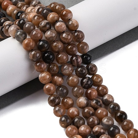 Natural Black Moonstone Beads Strands G-A219-A01-02-1