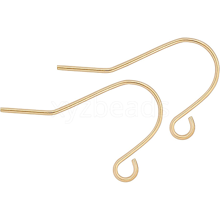 Brass Earring Hooks KK-BC0005-09G-1