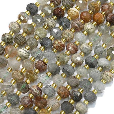 Natural Lodolite Quartz Beads Strands G-K389-E37-01-1