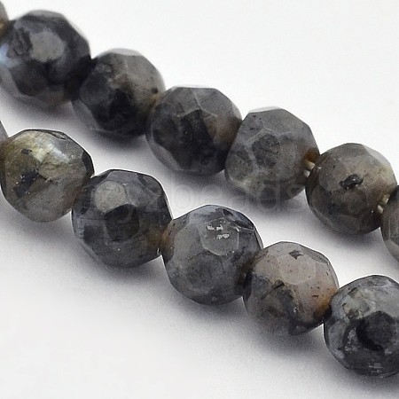 Faceted Round Natural Larvikite Beads Strands G-E302-083-4mm-1