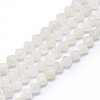 Natural Rainbow Moonstone Beads Strands G-F715-018-1