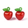Korea Acrylic Pendants X-OACR-L009-H02-1
