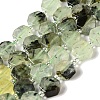 Natural Prehnite Beads Strands G-P534-A01-01-1