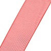 Polyester Organza Ribbon ORIB-L001-03-250-2