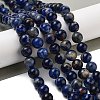 Natural South Africa Sodalite Beads Strands G-S259-35-12mm-01-5