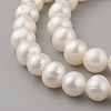 Natural Cultured Freshwater Pearl Beads Strands PEAR-G007-27-01-3