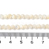 Natural White Shell Beads Strands SSHEL-E571-38A-4mm-5