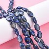 Natural Lapis Lazuli Beads Strands G-K311-01A-01-1