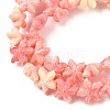 Synthetic Shell Dyed Beads Strands SHEL-K007-18-3