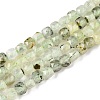 Natural Prehnite Beads Strands G-N342-124-1