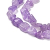 Natural Amethyst Beads Strands G-P497-01E-22-4