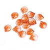 Transparent Glass Charms GLAA-H016-05E-31-1